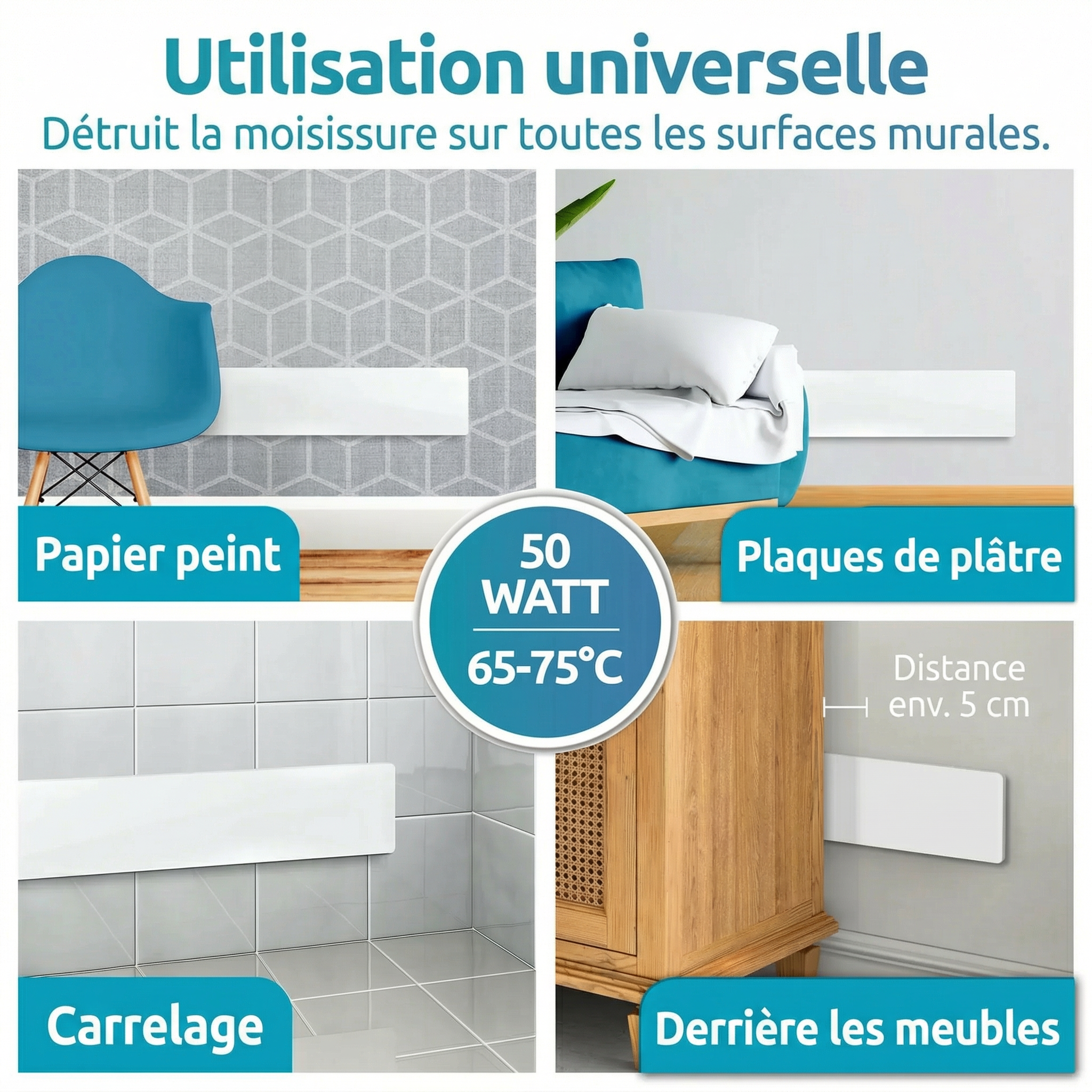 Moisissure-CLEAN – Module de base