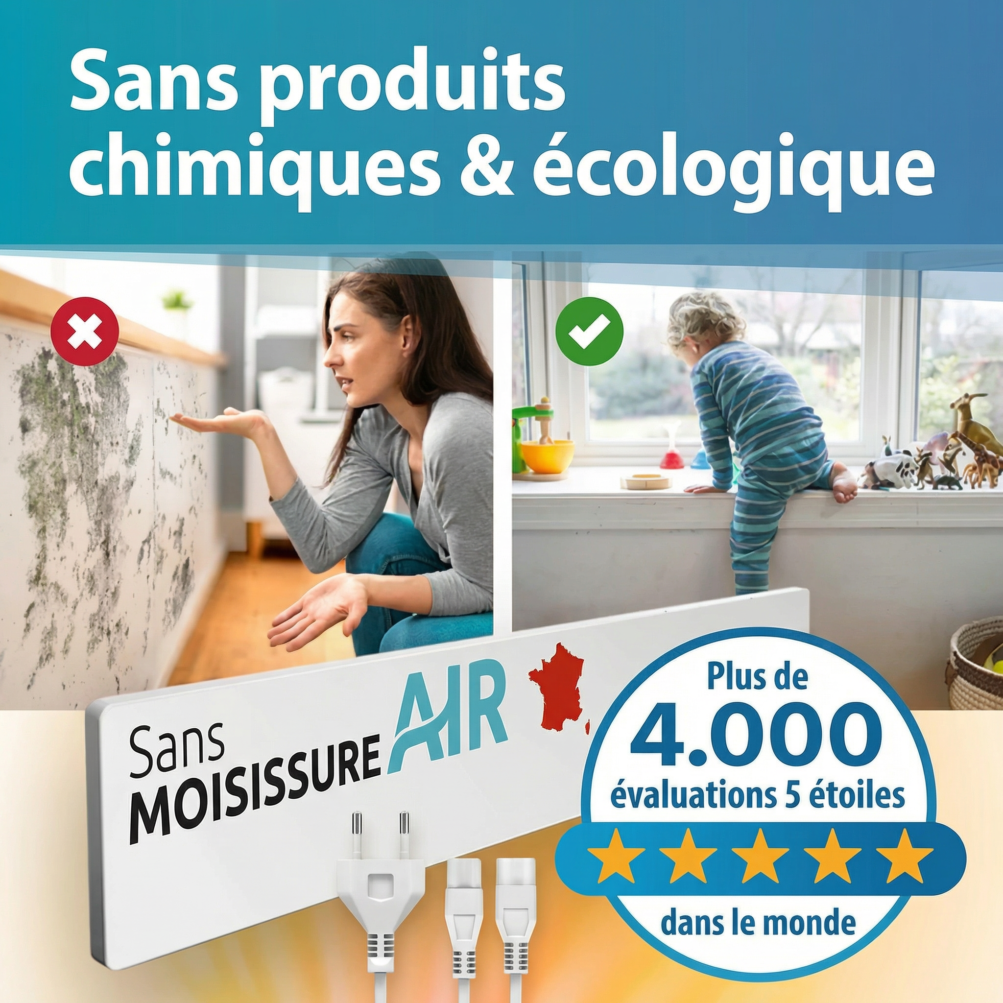 Moisissure-CLEAN – Module de base